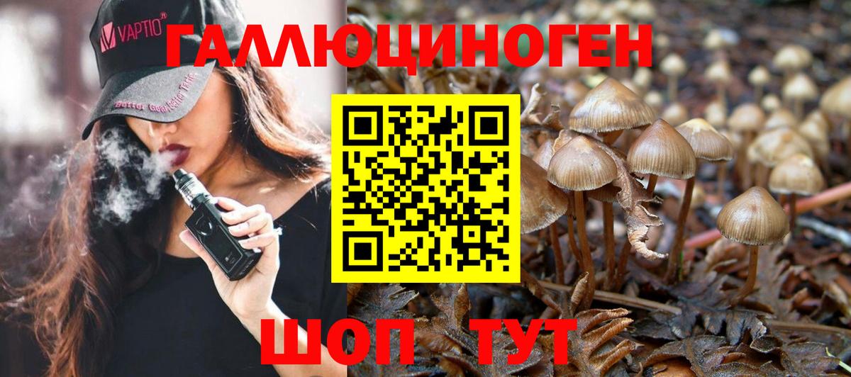 Вольск  Галлюциногенные грибы GOLDEN TEACHER  наркотики  Вход с VPN 